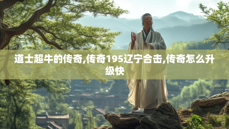 道士超牛的传奇,传奇195辽宁合击,传奇怎么升级快