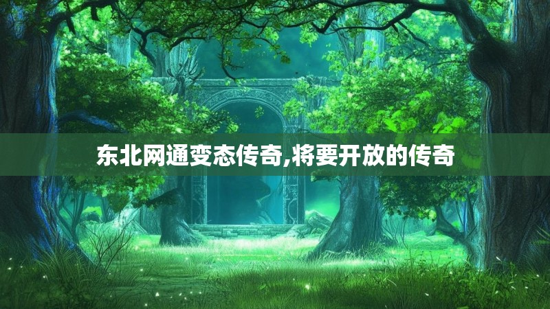 东北网通变态传奇,将要开放的传奇