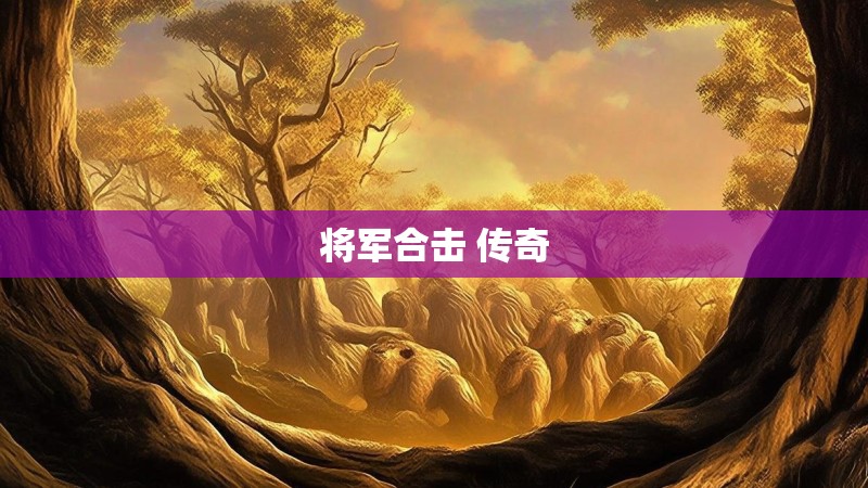 将军合击 传奇