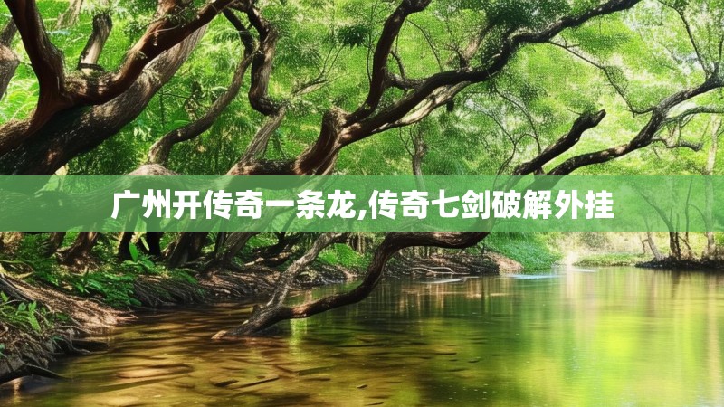 广州开传奇一条龙,传奇七剑破解外挂