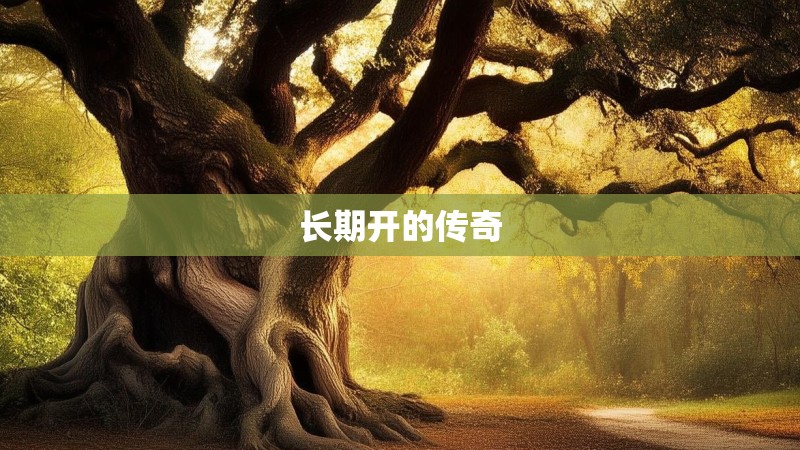 长期开的传奇