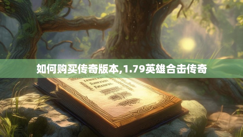 如何购买传奇版本,1.79英雄合击传奇