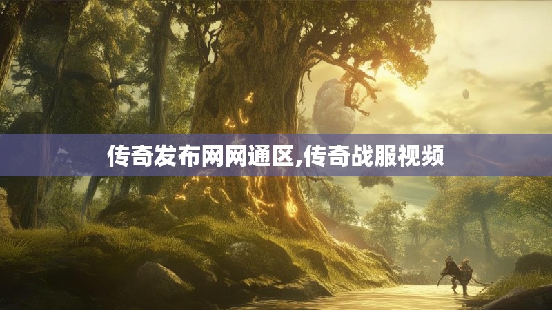 传奇发布网网通区,传奇战服视频