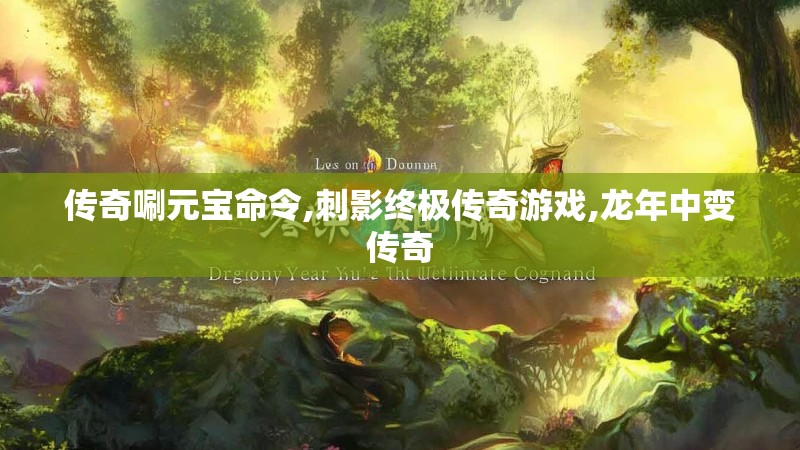 传奇唰元宝命令,刺影终极传奇游戏,龙年中变传奇
