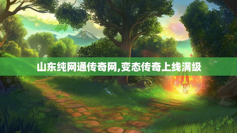 山东纯网通传奇网,变态传奇上线满级
