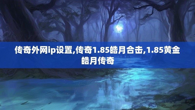 传奇外网ip设置,传奇1.85皓月合击,1.85黄金皓月传奇