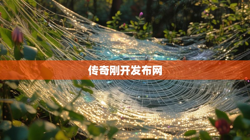 传奇刚开发布网