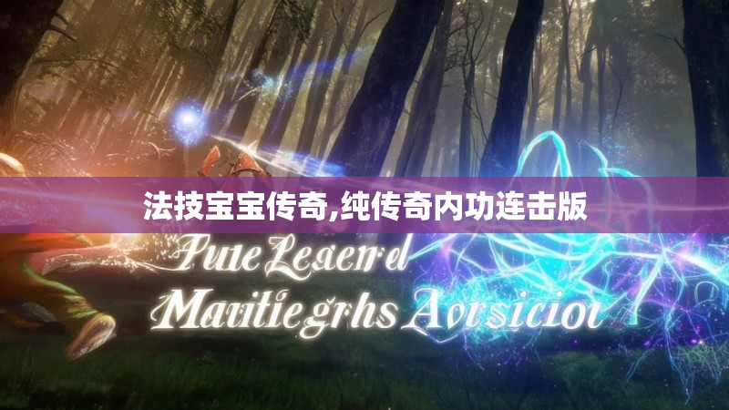 法技宝宝传奇,纯传奇内功连击版