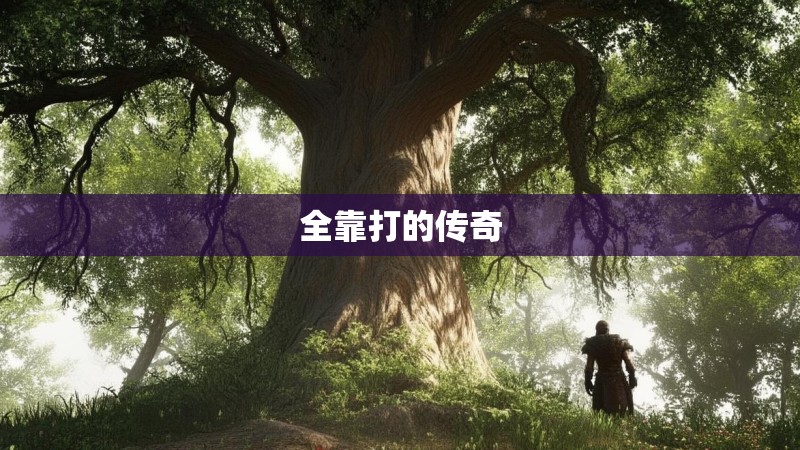 全靠打的传奇