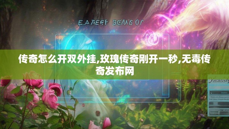 传奇怎么开双外挂,玫瑰传奇刚开一秒,无毒传奇发布网