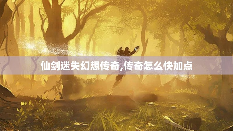 仙剑迷失幻想传奇,传奇怎么快加点