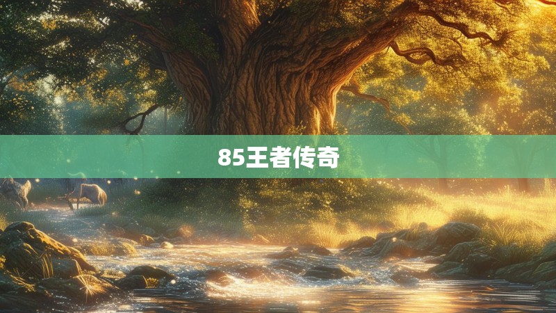 85王者传奇