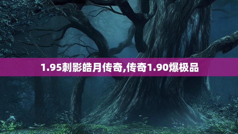 1.95刺影皓月传奇,传奇1.90爆极品