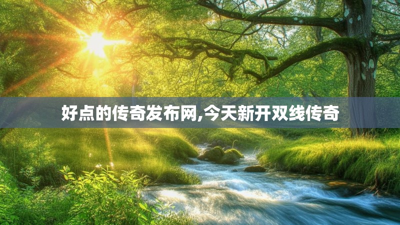 好点的传奇发布网,今天新开双线传奇