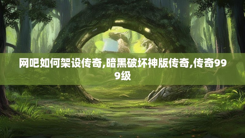 网吧如何架设传奇,暗黑破坏神版传奇,传奇999级