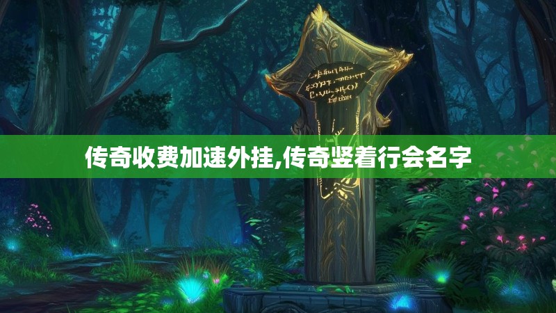 传奇收费加速外挂,传奇竖着行会名字