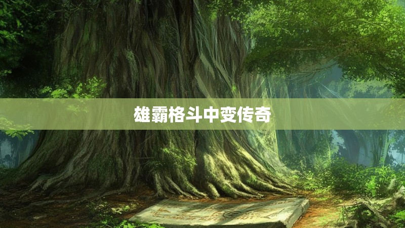 雄霸格斗中变传奇