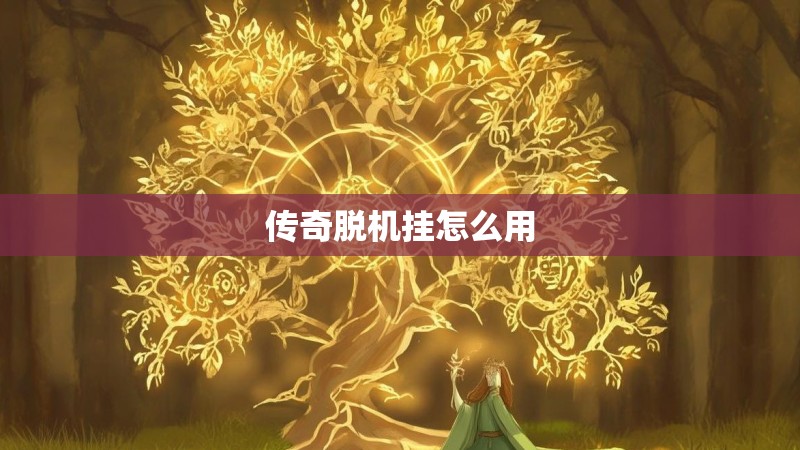 传奇脱机挂怎么用