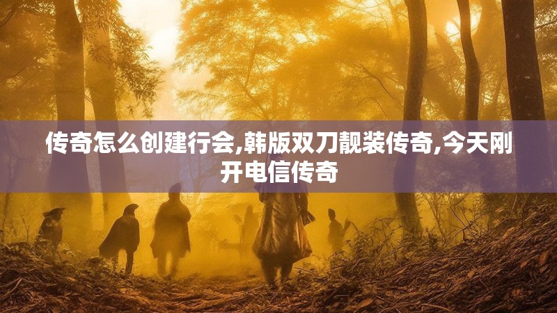 传奇怎么创建行会,韩版双刀靓装传奇,今天刚开电信传奇