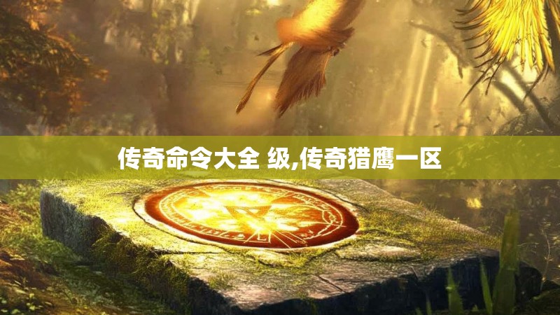 传奇命令大全 级,传奇猎鹰一区