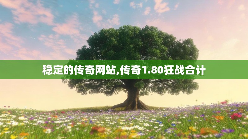 稳定的传奇网站,传奇1.80狂战合计