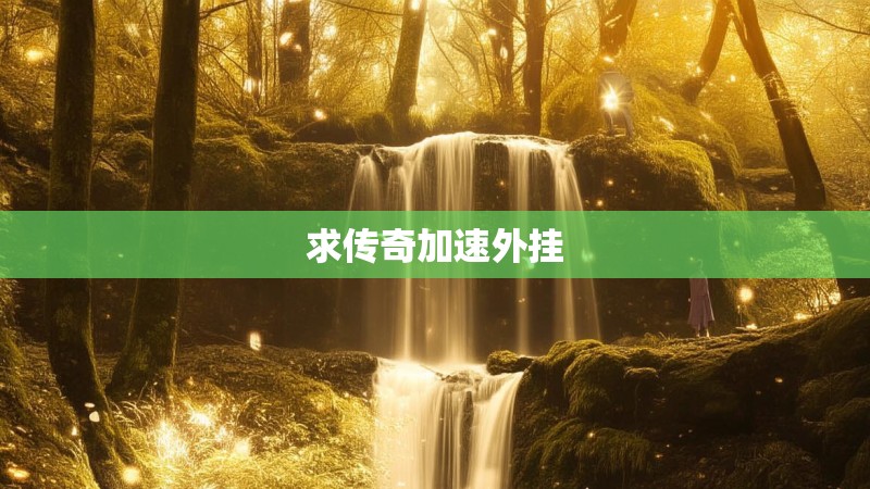 求传奇加速外挂