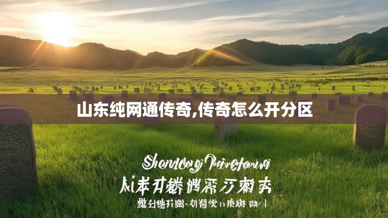 山东纯网通传奇,传奇怎么开分区