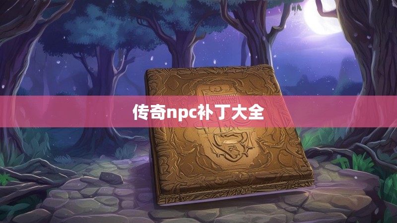 传奇npc补丁大全