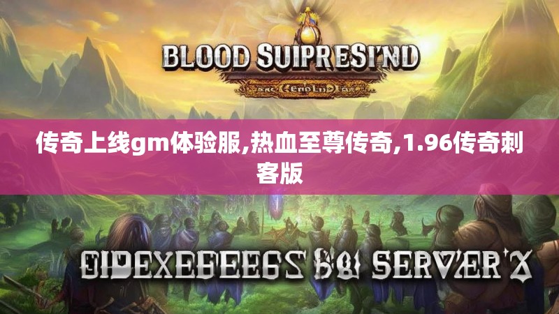 传奇上线gm体验服,热血至尊传奇,1.96传奇刺客版