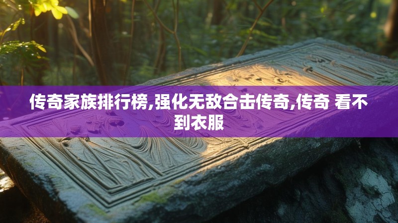 传奇家族排行榜,强化无敌合击传奇,传奇 看不到衣服