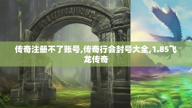 传奇注册不了账号,传奇行会封号大全,1.85飞龙传奇