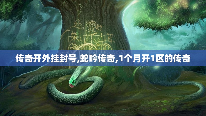 传奇开外挂封号,蛇吟传奇,1个月开1区的传奇