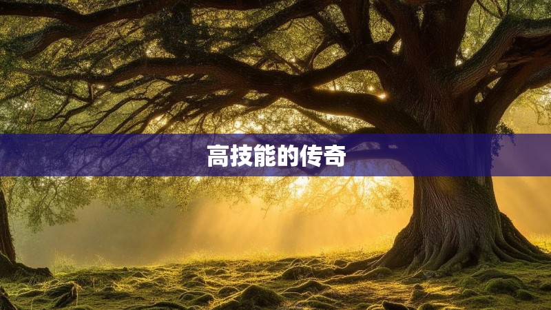 高技能的传奇 高技能的传奇