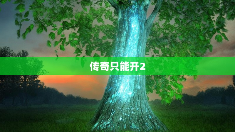 传奇只能开2