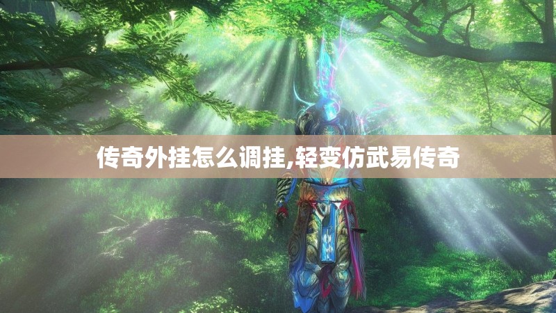 传奇外挂怎么调挂,轻变仿武易传奇