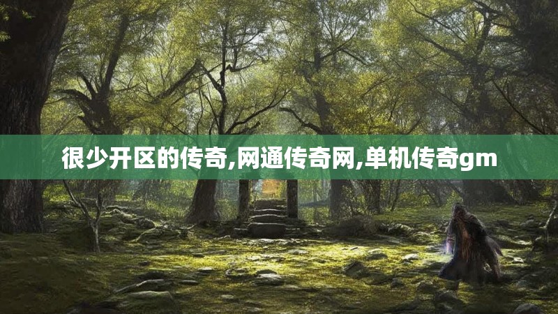 很少开区的传奇,网通传奇网,单机传奇gm