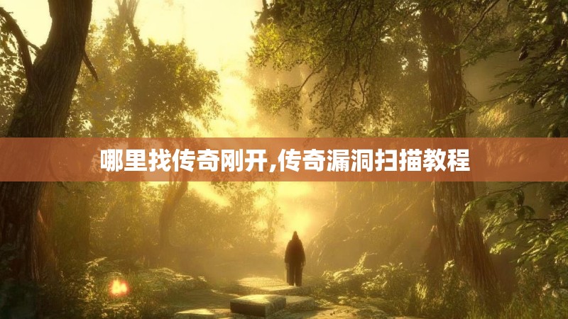 哪里找传奇刚开,传奇漏洞扫描教程 哪里找传奇刚开,传奇漏洞扫描教程