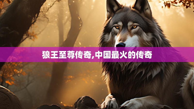 狼王至尊传奇,中国最火的传奇