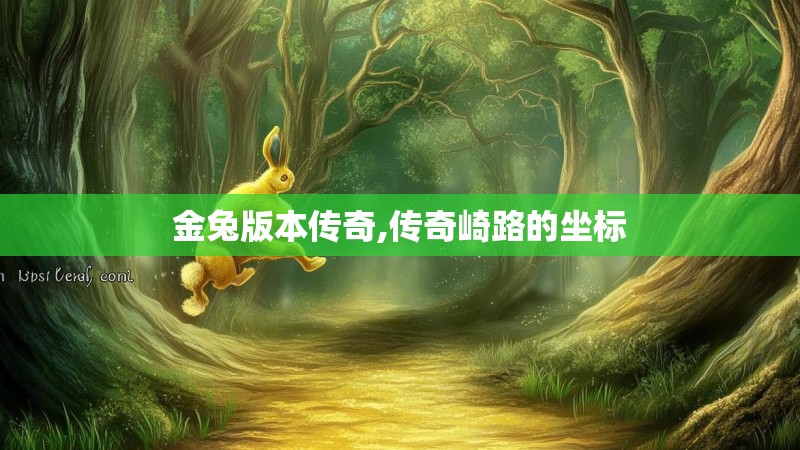 金兔版本传奇,传奇崎路的坐标