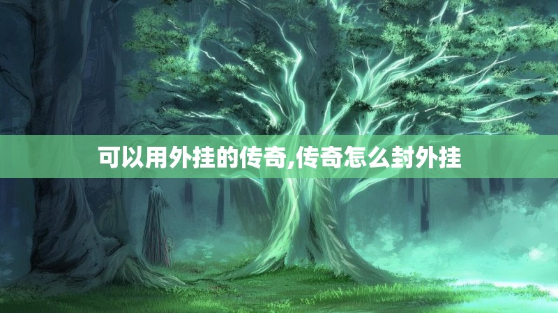 可以用外挂的传奇,传奇怎么封外挂