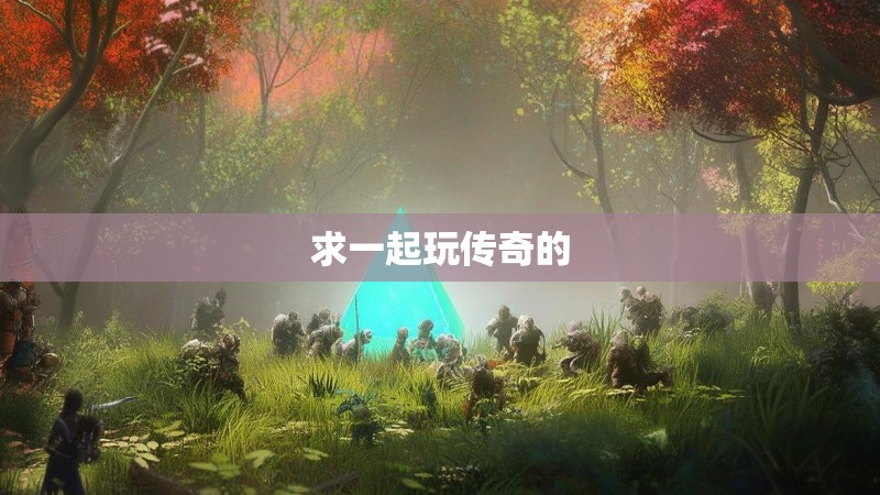 求一起玩传奇的