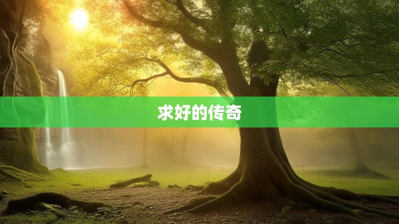 求好的传奇
