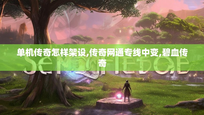 单机传奇怎样架设,传奇网通专线中变,碧血传奇