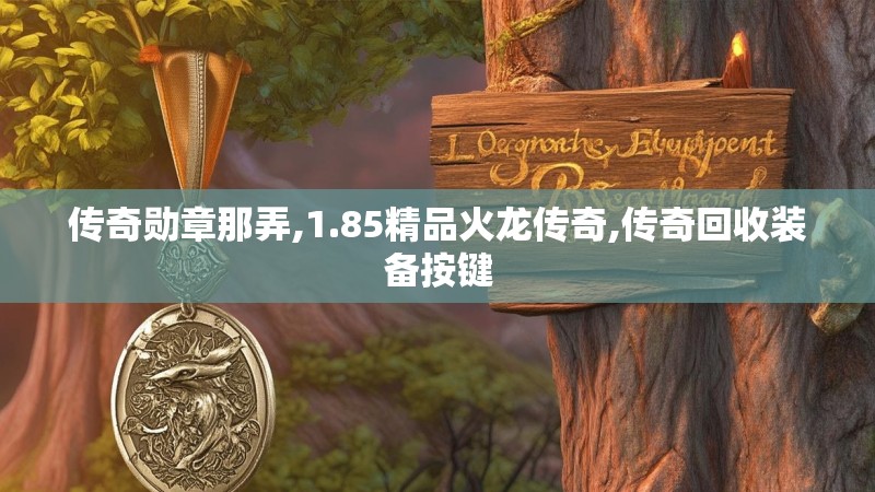 传奇勋章那弄,1.85精品火龙传奇,传奇回收装备按键