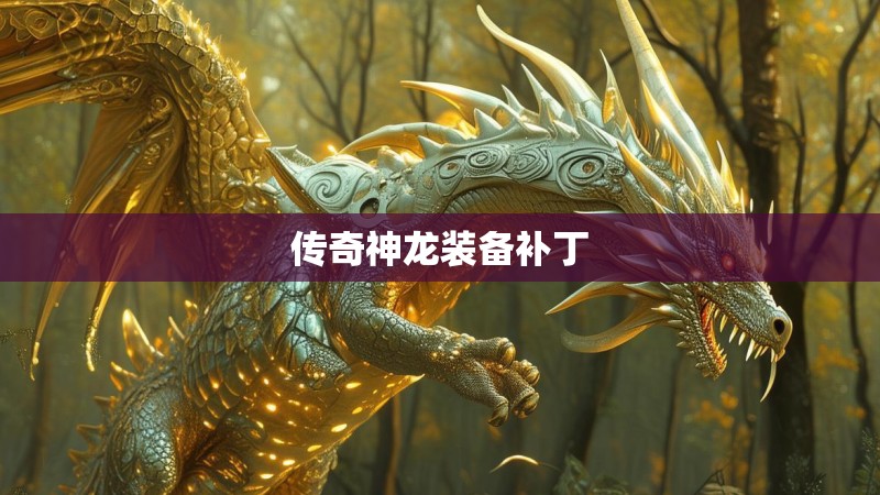 传奇神龙装备补丁 传奇神龙装备补丁