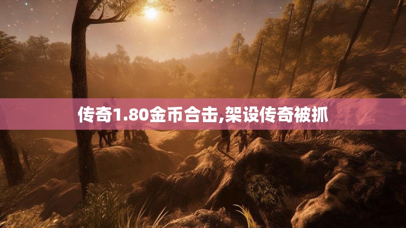 传奇1.80金币合击,架设传奇被抓