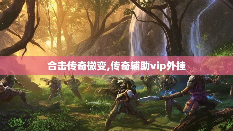 合击传奇微变,传奇辅助vip外挂