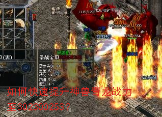 如何快速提升神兽青龙战力至302300253? 如何快速提升神兽青龙战力至302300253?
