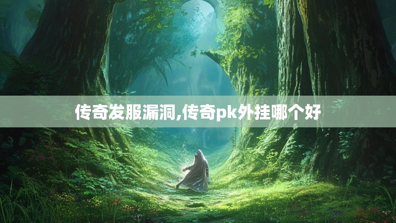 传奇发服漏洞,传奇pk外挂哪个好