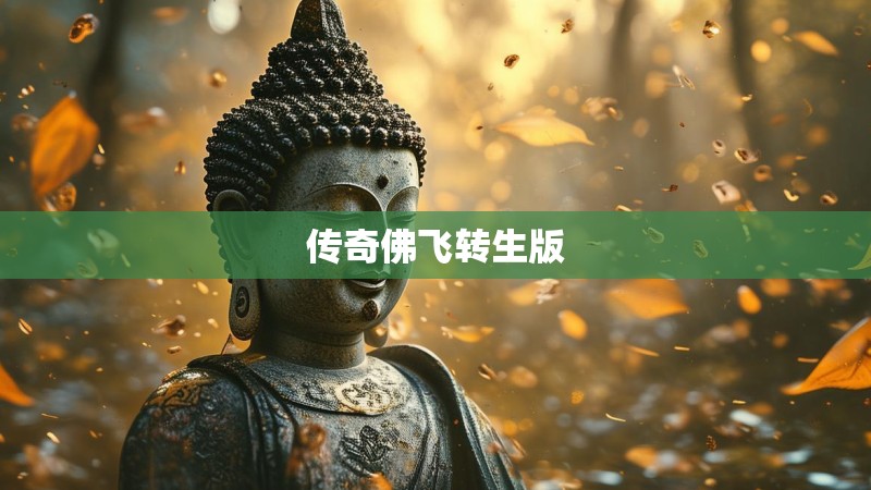 传奇佛飞转生版